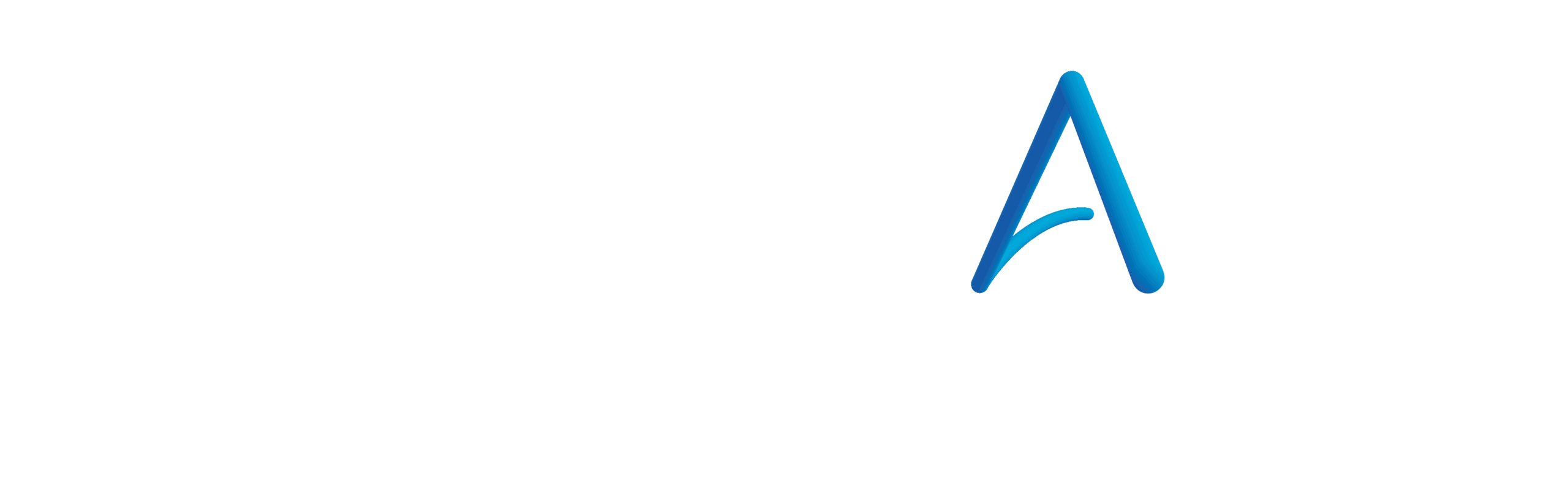 TechPath Advisors